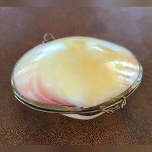 Brass hinged seashell trinket box🐣
